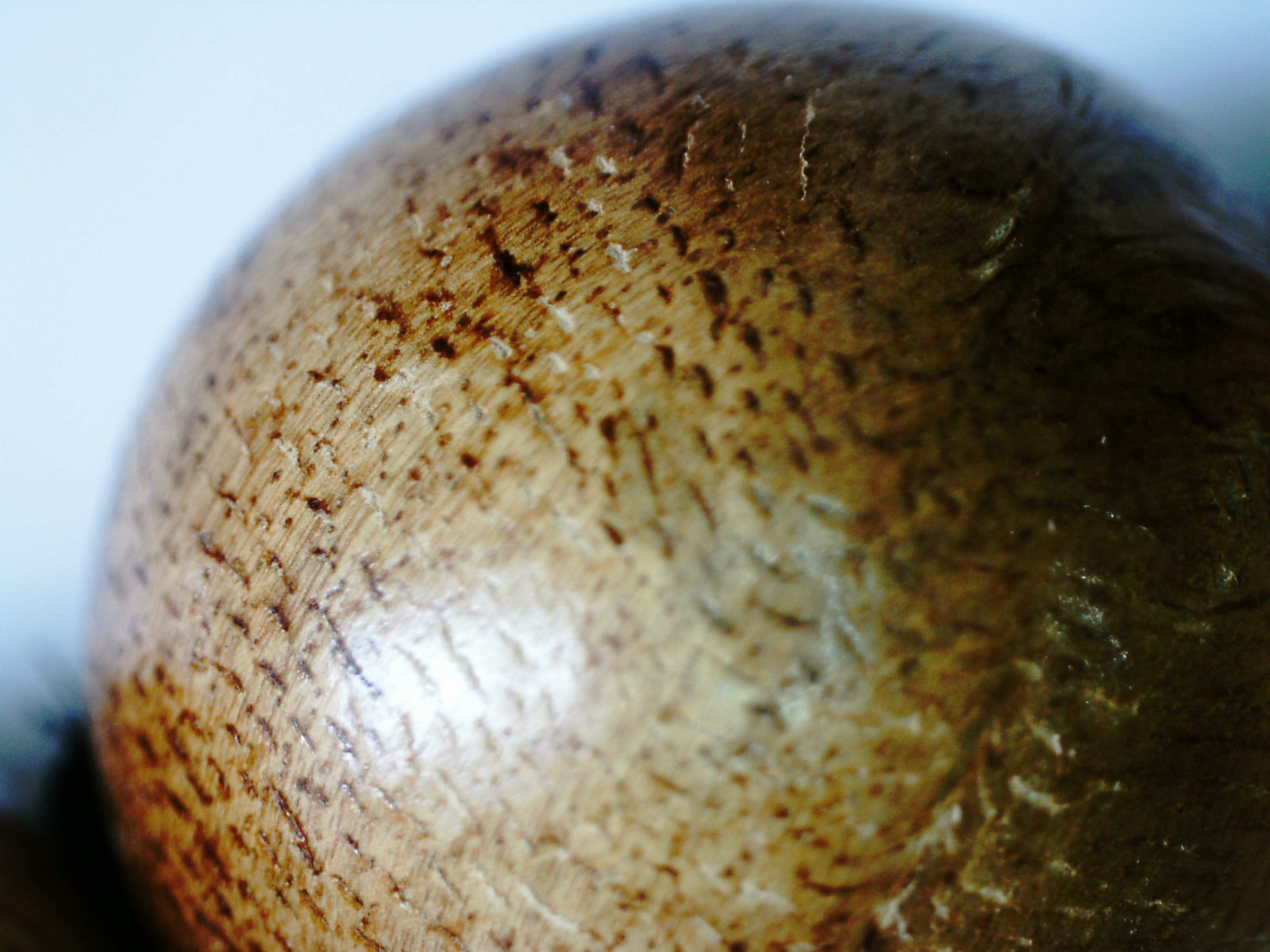 Light resin wild Aquilaria bracelet (light infection agarwood) -