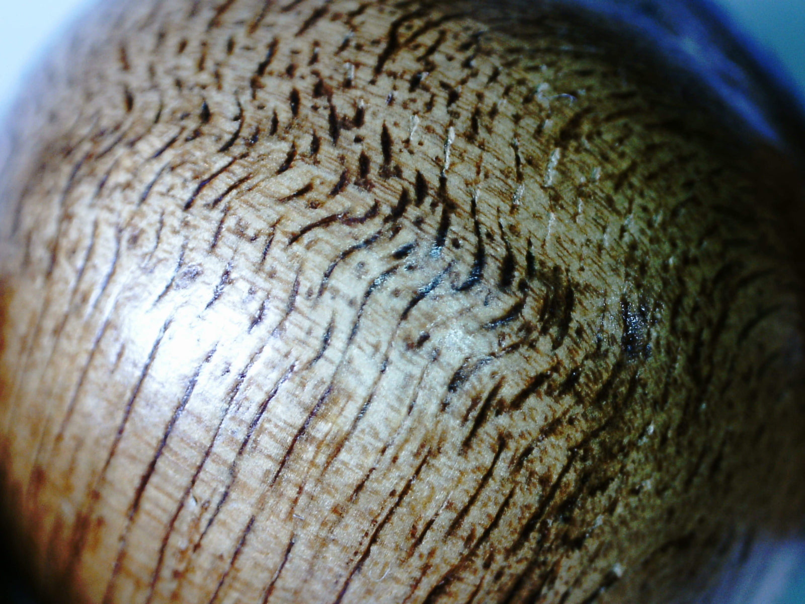 Light resin wild Aquilaria bracelet (light infection agarwood) -