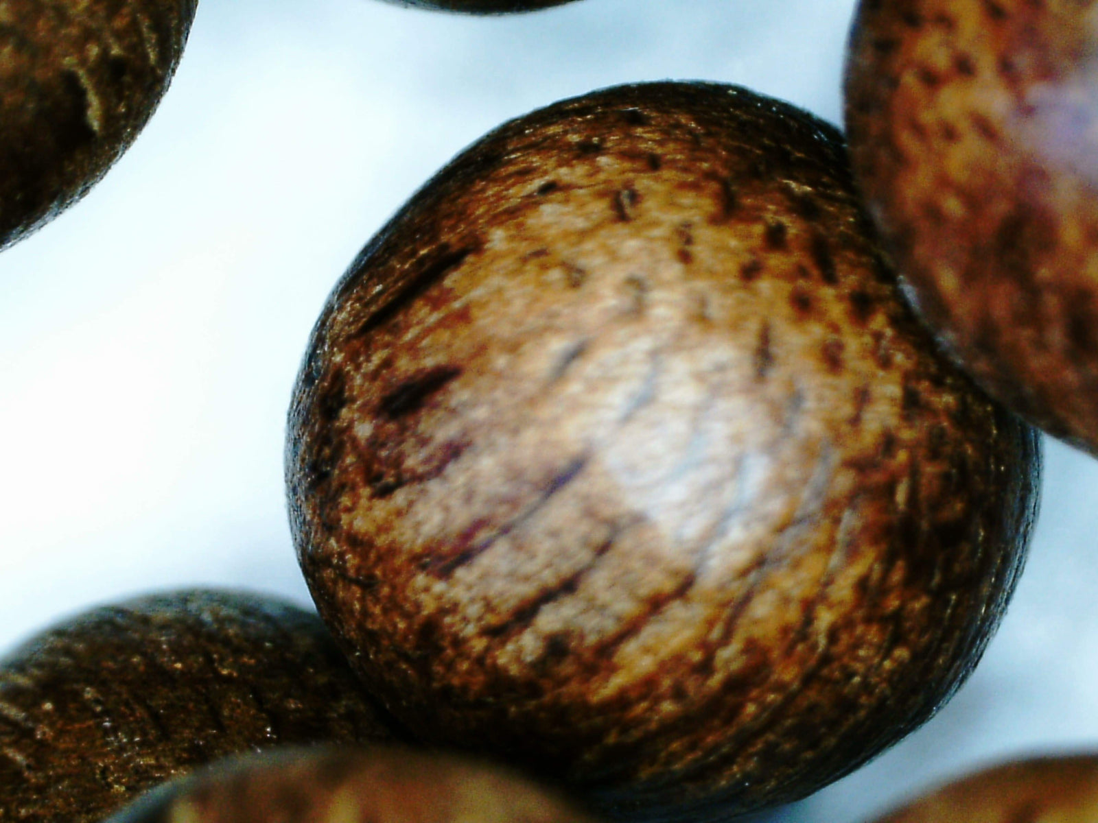 *New* Dusky Red 108 Mala- made from Ambon Island Wild Agarwood 15g 8mm -