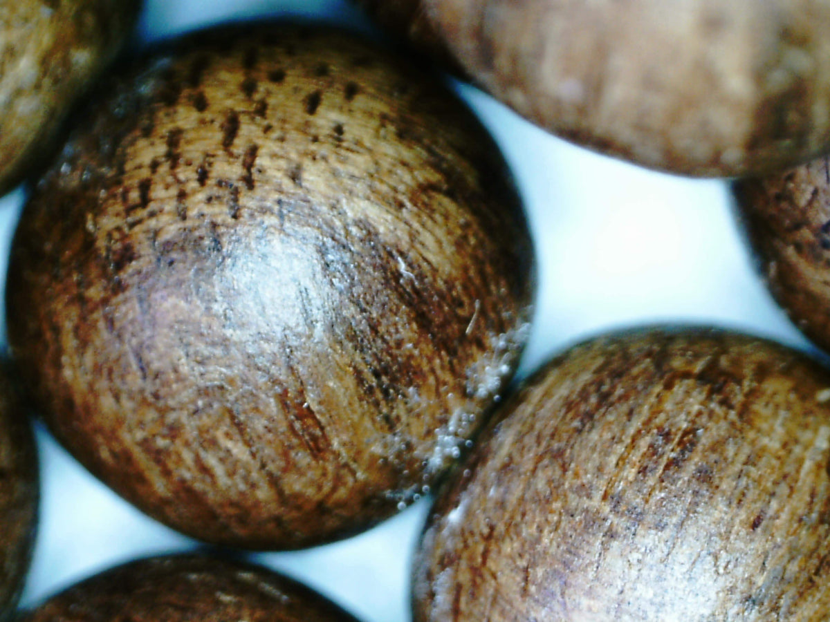 *New* Dusky Red 108 Mala- made from Ambon Island Wild Agarwood 15g 8mm -