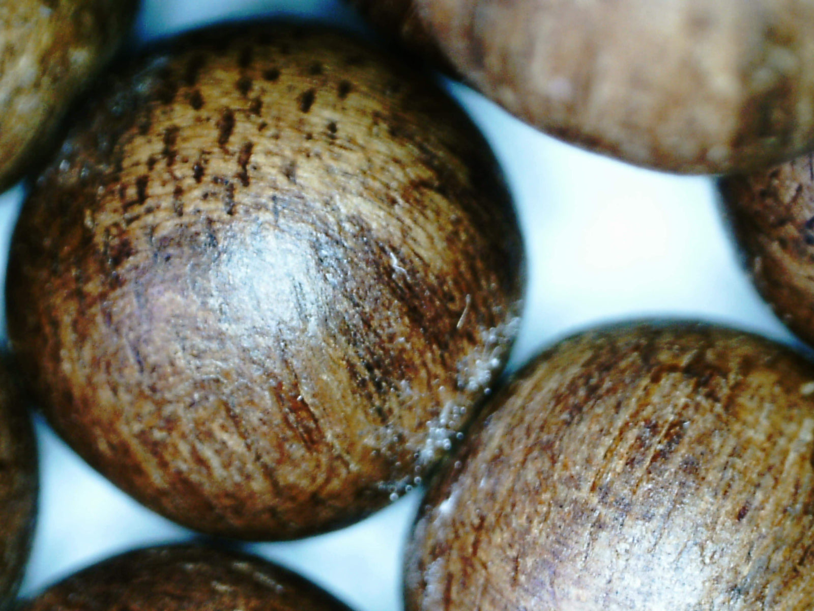 *New* Dusky Red 108 Mala- made from Ambon Island Wild Agarwood 15g 8mm -