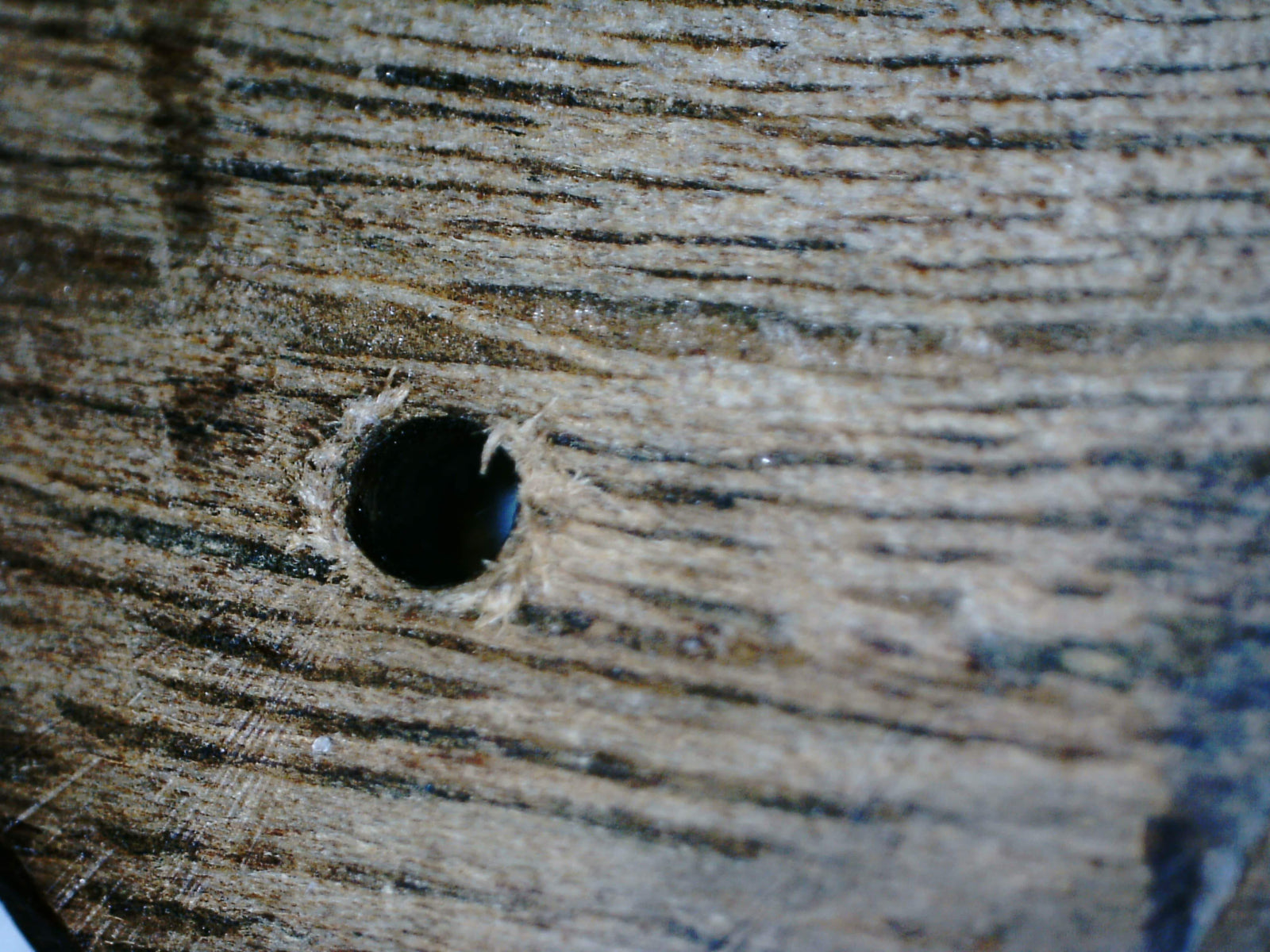 The EKM - East Kalimantan Wild Agarwood Bracelet 14mm 16.5g -