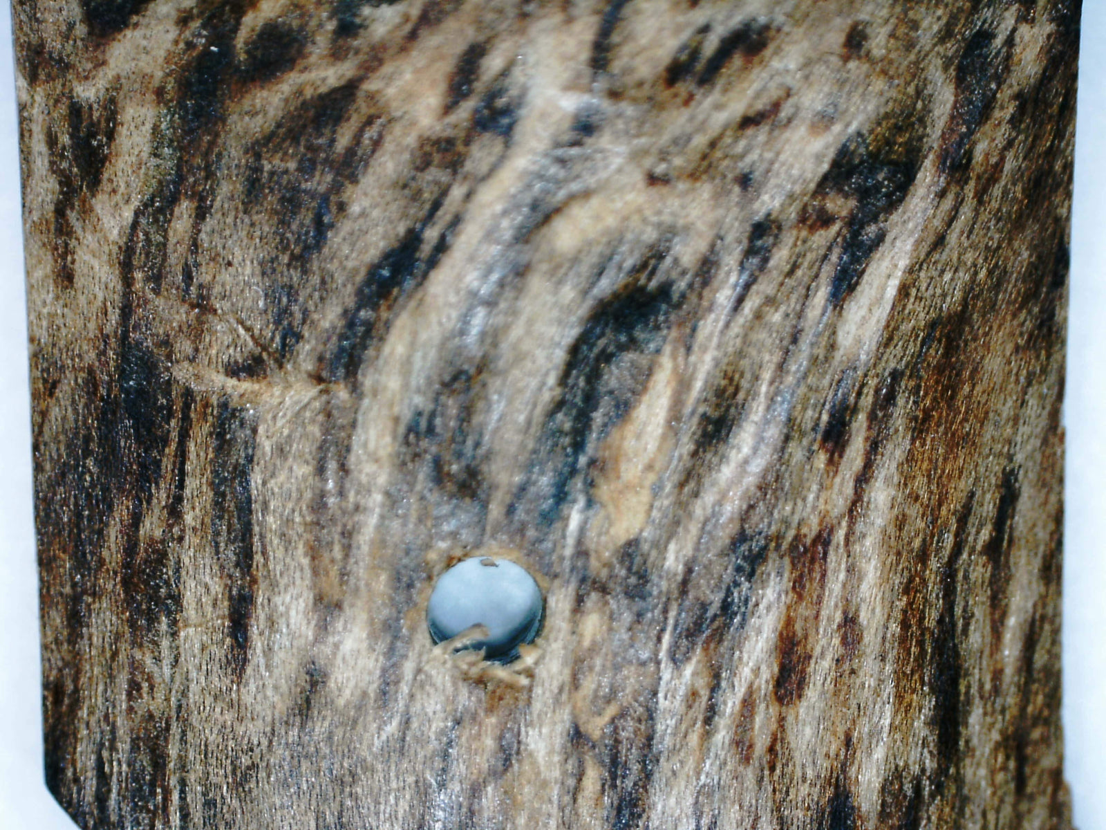 The EKM - East Kalimantan Wild Agarwood Bracelet 14mm 16.5g -