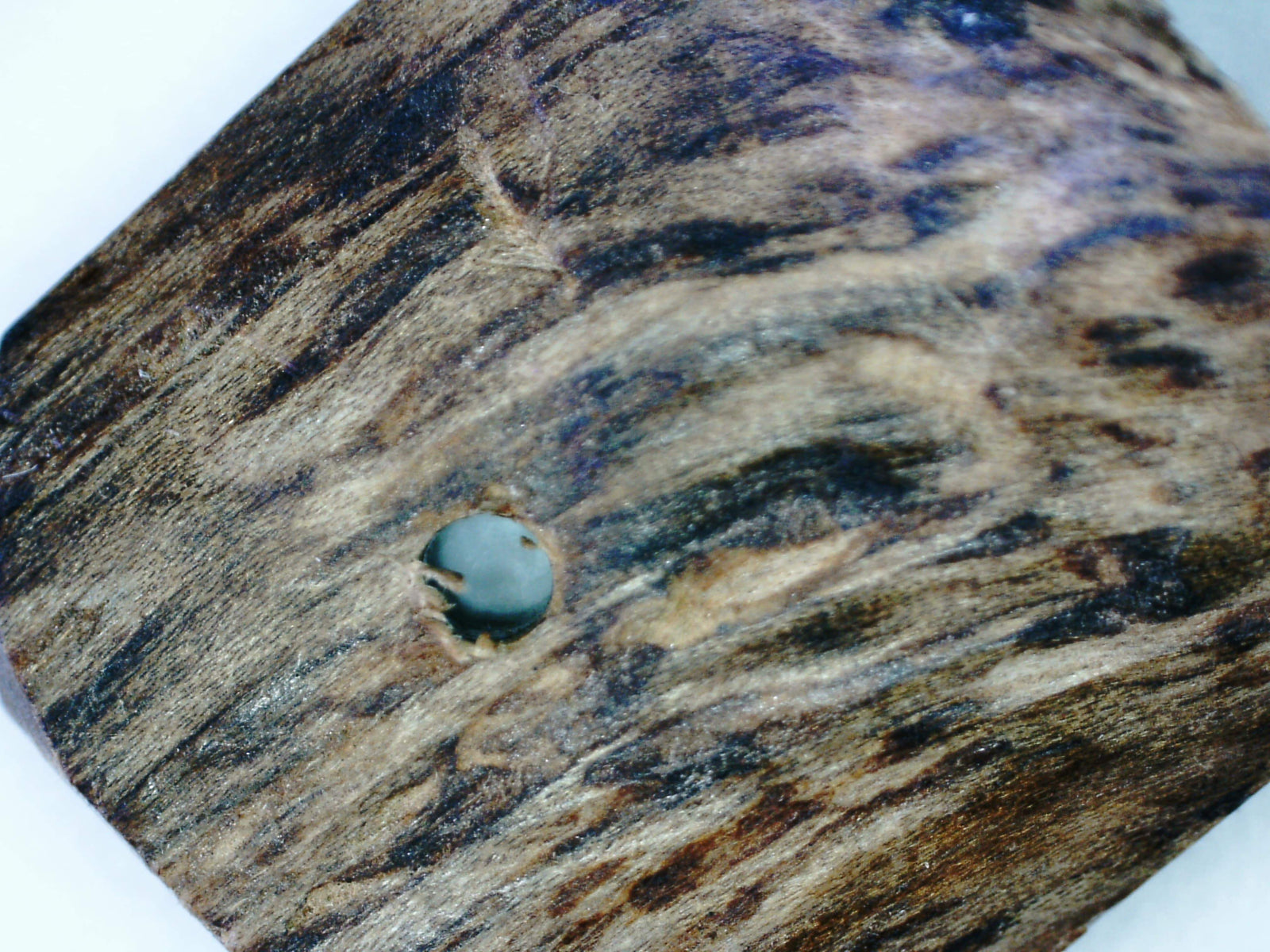 The EKM - East Kalimantan Wild Agarwood Bracelet 14mm 16.5g -