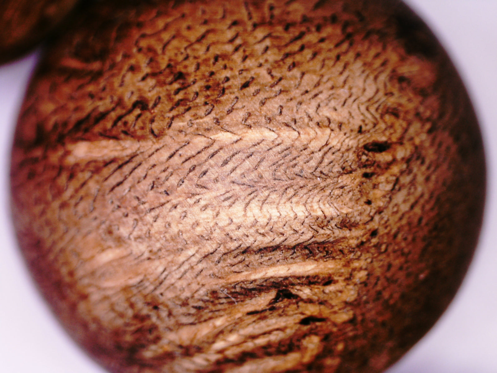 *New* GW Wild Agarwood Bracelet -