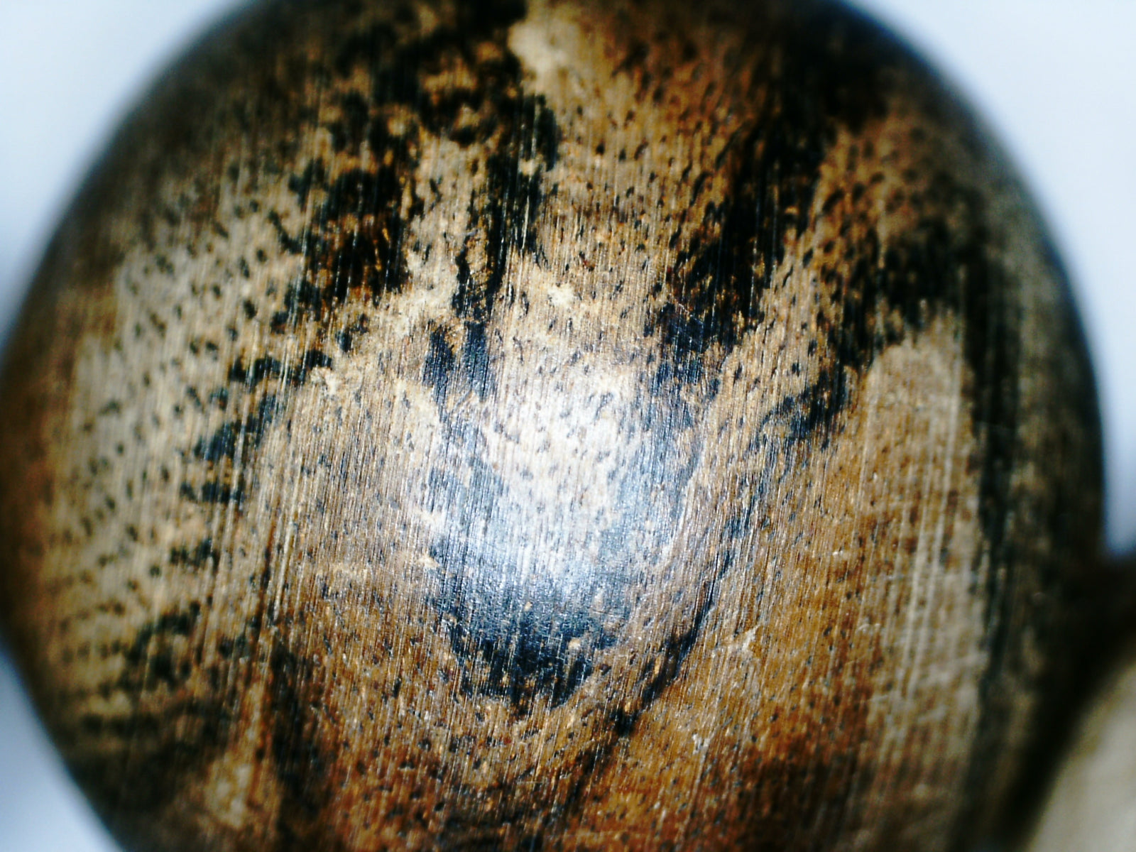 *New* The BATTLE SCARS -Wild Borneo Indonesia agarwood Bracelet 28g 18mm 13 beads -