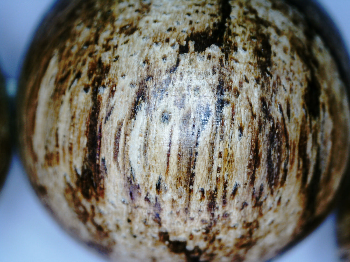 *New* The Tiger King - Wild Agarwood Bracelet 20g 16mm from Malinau -