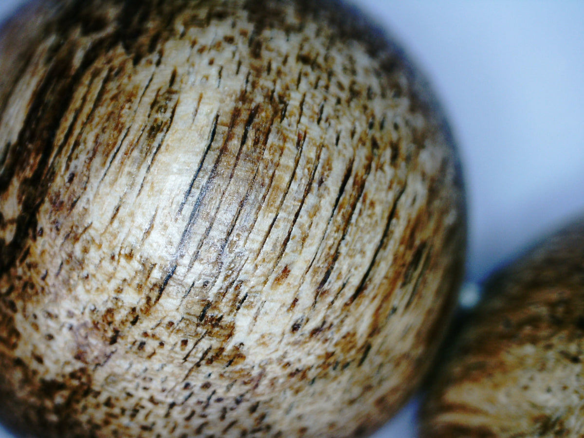 *New* The Tiger King - Wild Agarwood Bracelet 20g 16mm from Malinau -