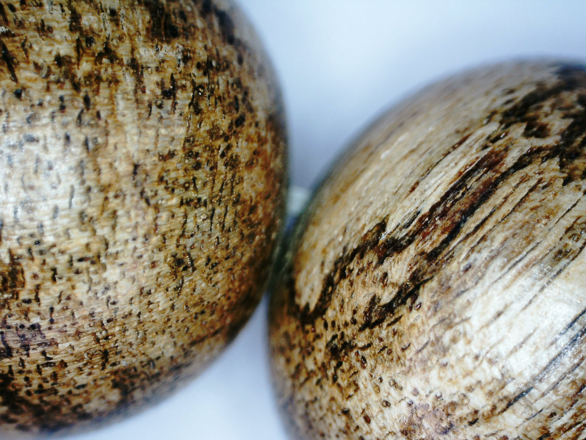 *New* The Tiger King - Wild Agarwood Bracelet 20g 16mm from Malinau -