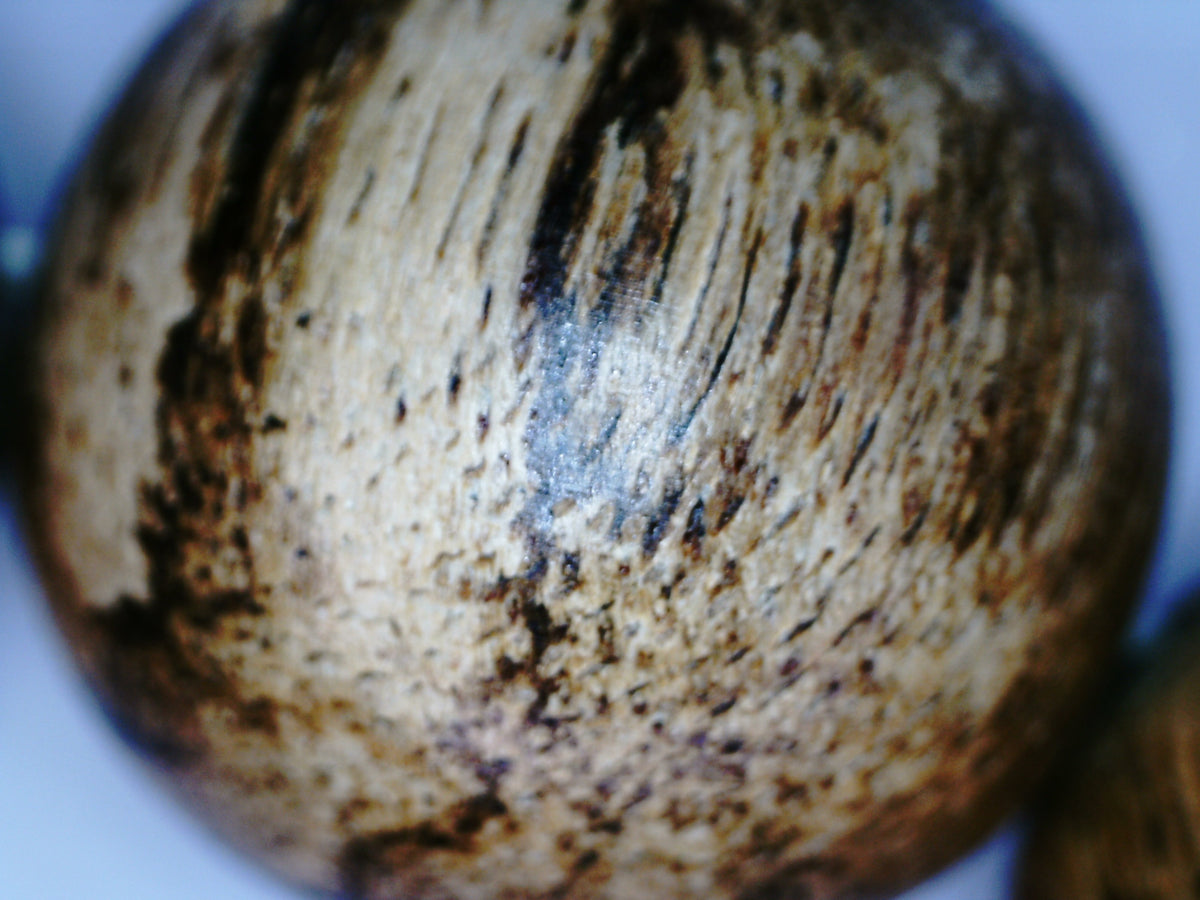 *New* The Tiger King - Wild Agarwood Bracelet 20g 16mm from Malinau -