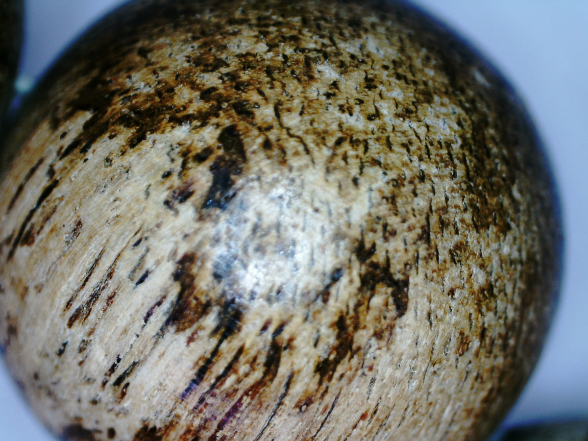 *New* The Tiger King - Wild Agarwood Bracelet 20g 16mm from Malinau -