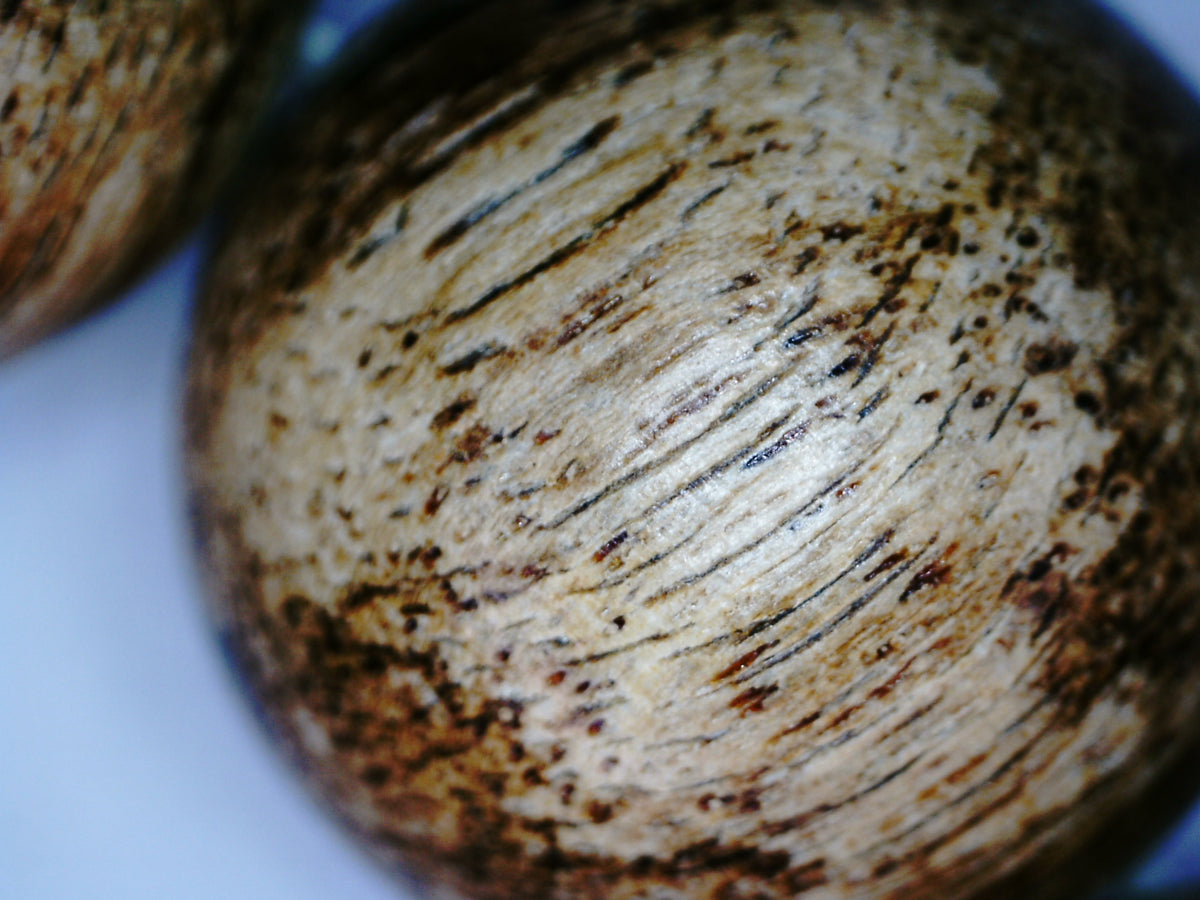 *New* The Tiger King - Wild Agarwood Bracelet 20g 16mm from Malinau -