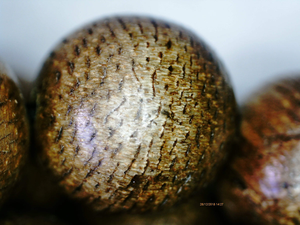 *SOLD* Wild Agarwood Aqualaria Malaccensis 108 mala 8mm 21g Classic Pattern -