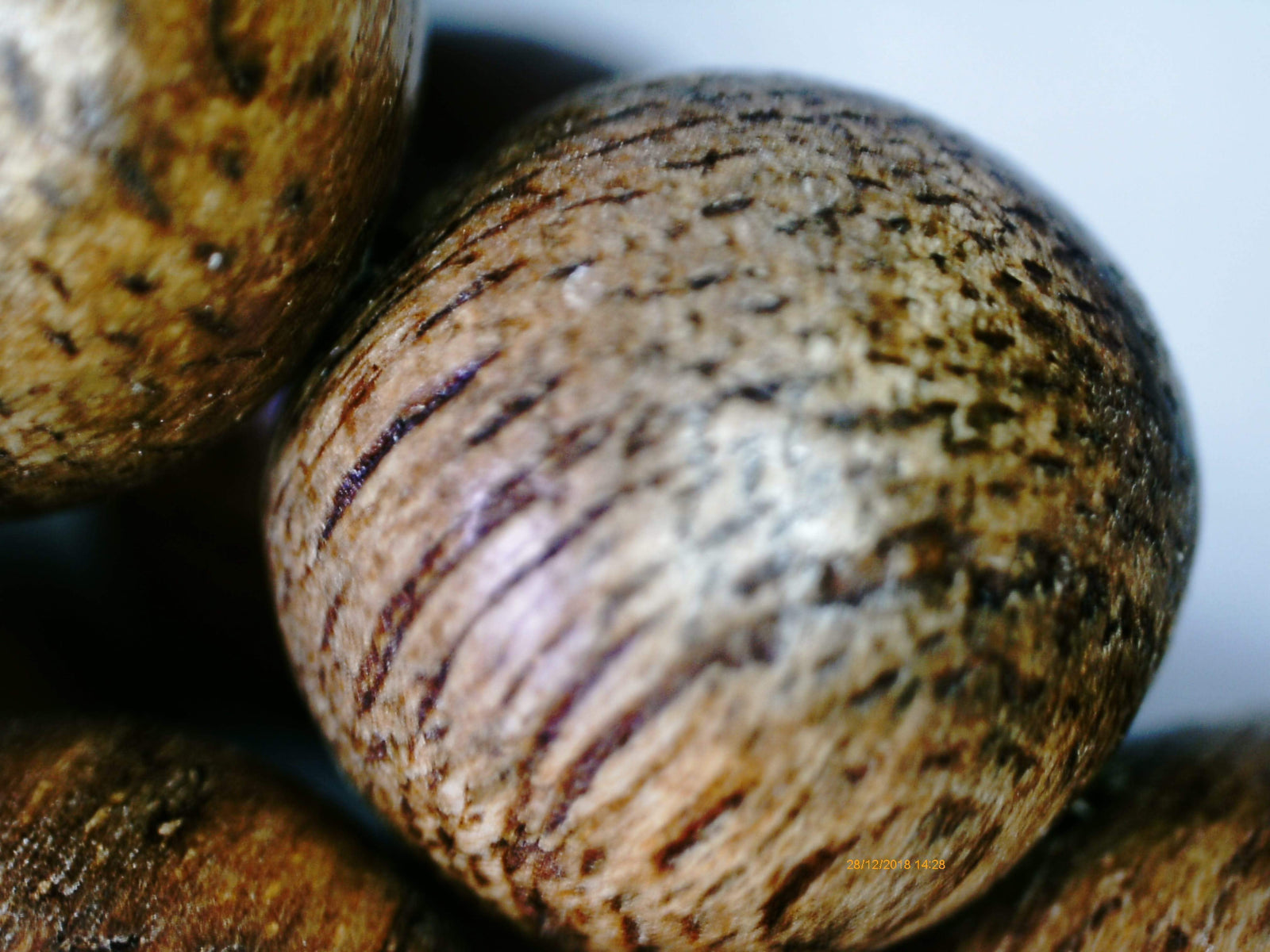 *SOLD* Wild Agarwood Aqualaria Malaccensis 108 mala 8mm 21g Classic Pattern -