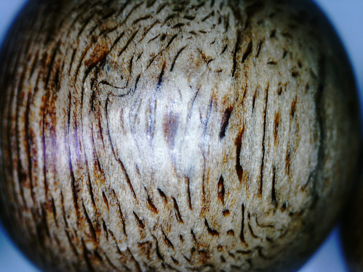 Sarawak Wild Agarwood bracelet 17mm- 21.56g - one piece only -