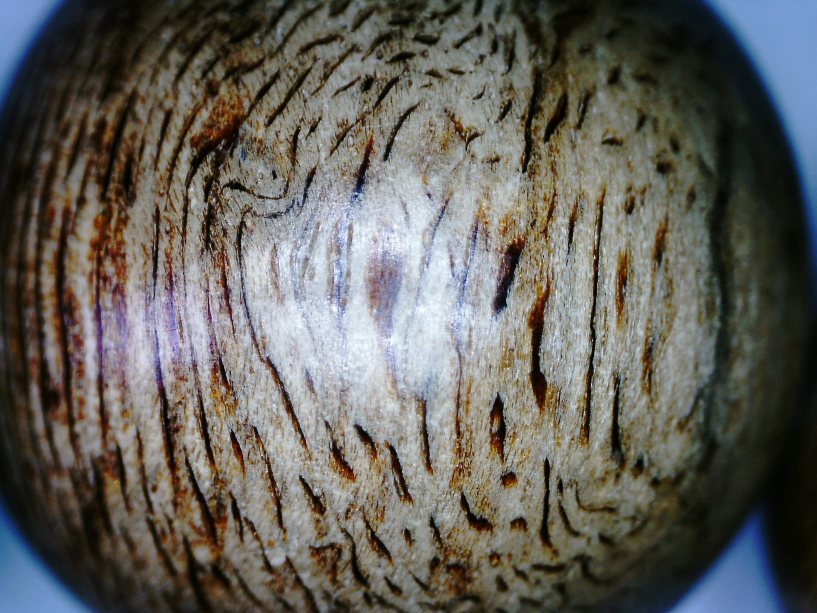 Sarawak Wild Agarwood bracelet 17mm- 21.56g - one piece only -