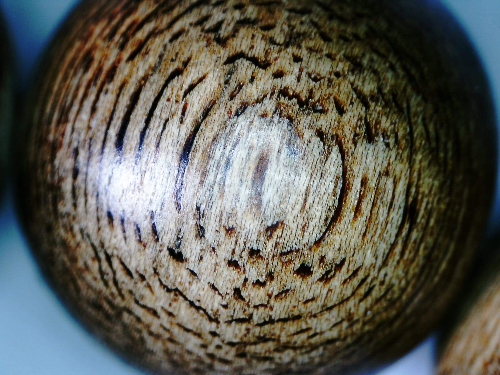 Sarawak Wild Agarwood bracelet 17mm- 21.56g - one piece only -