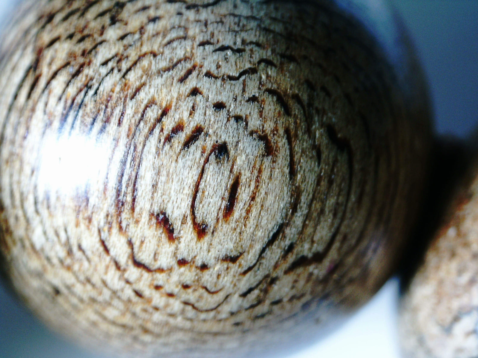 Sarawak Wild Agarwood bracelet 17mm- 21.56g - one piece only -