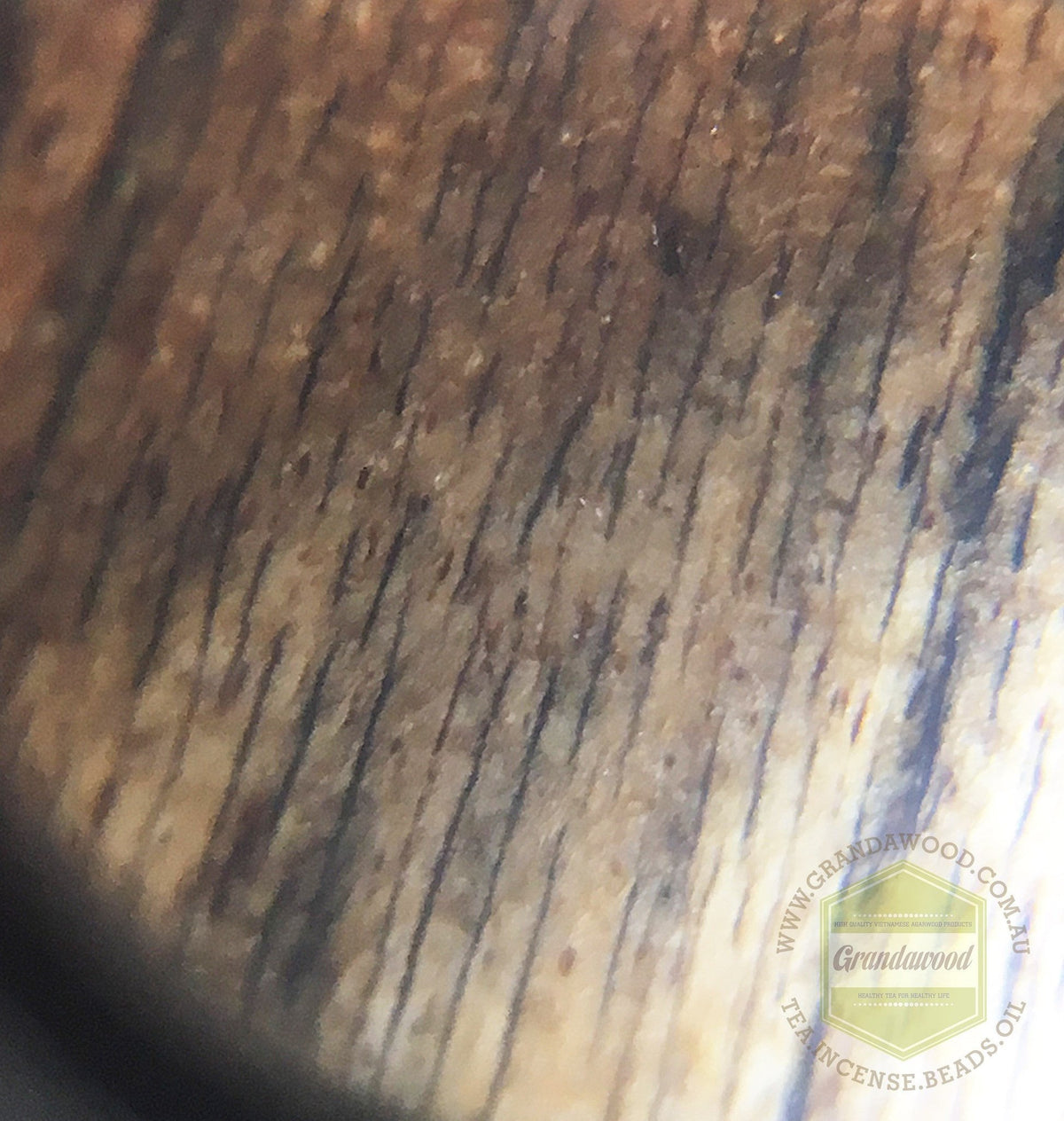 SOLD-The Windy Storm Wild Sinking Agarwood Bracelet- 16mm -