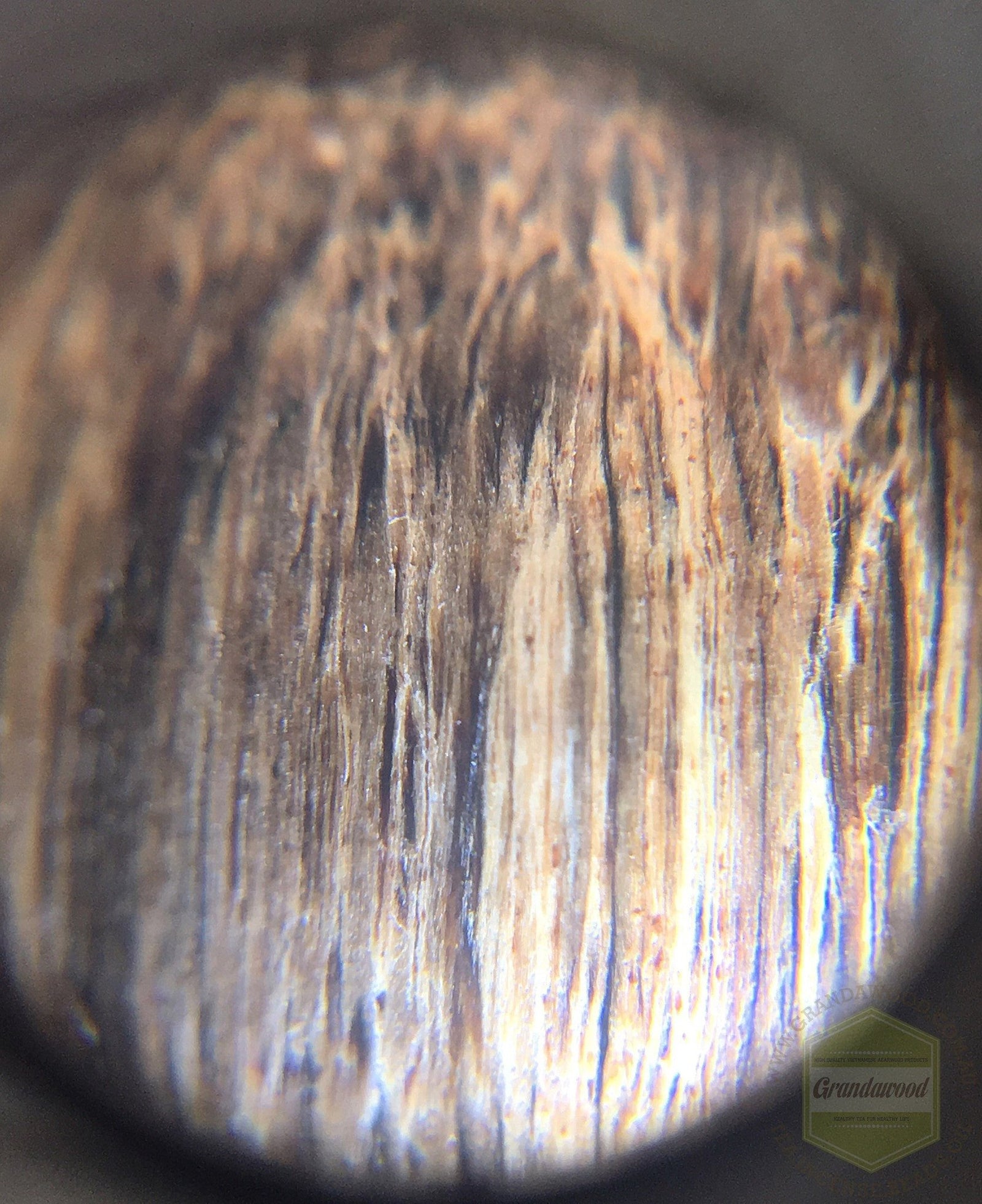 SOLD-The Windy Storm Wild Sinking Agarwood Bracelet- 16mm -