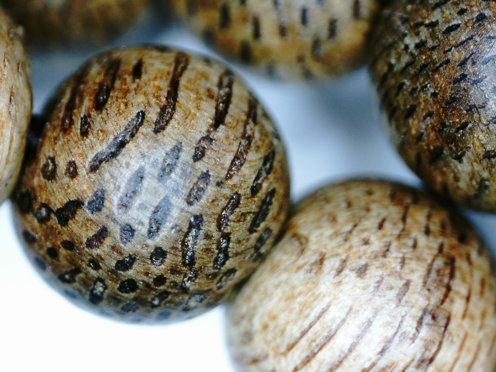 The GGG, Premium Cultivated Agarwood 108 Mala and/or Bracelet - Cultivated beads with wild agarwood quality -