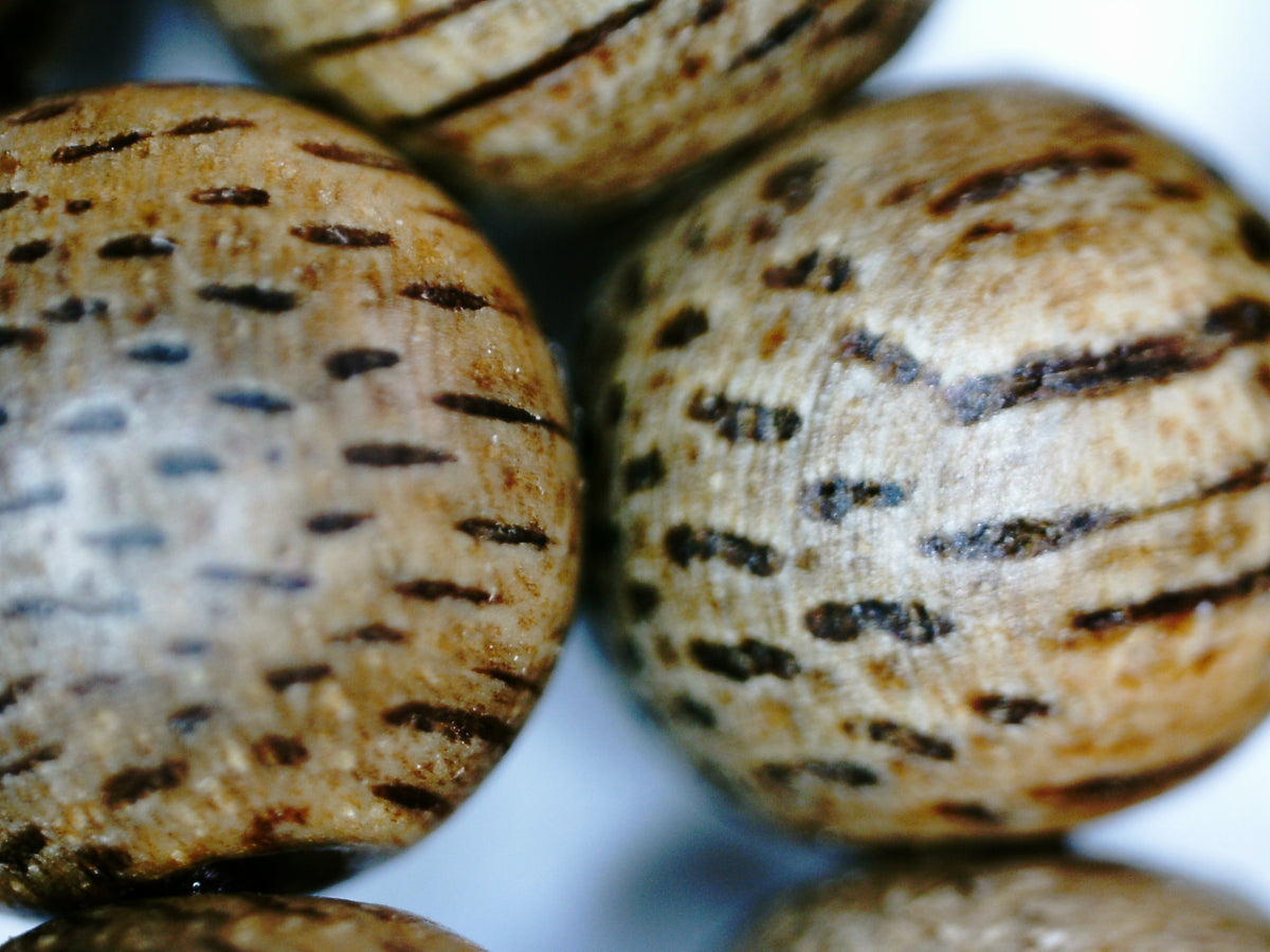 The GGG, Premium Cultivated Agarwood 108 Mala and/or Bracelet - Cultivated beads with wild agarwood quality -