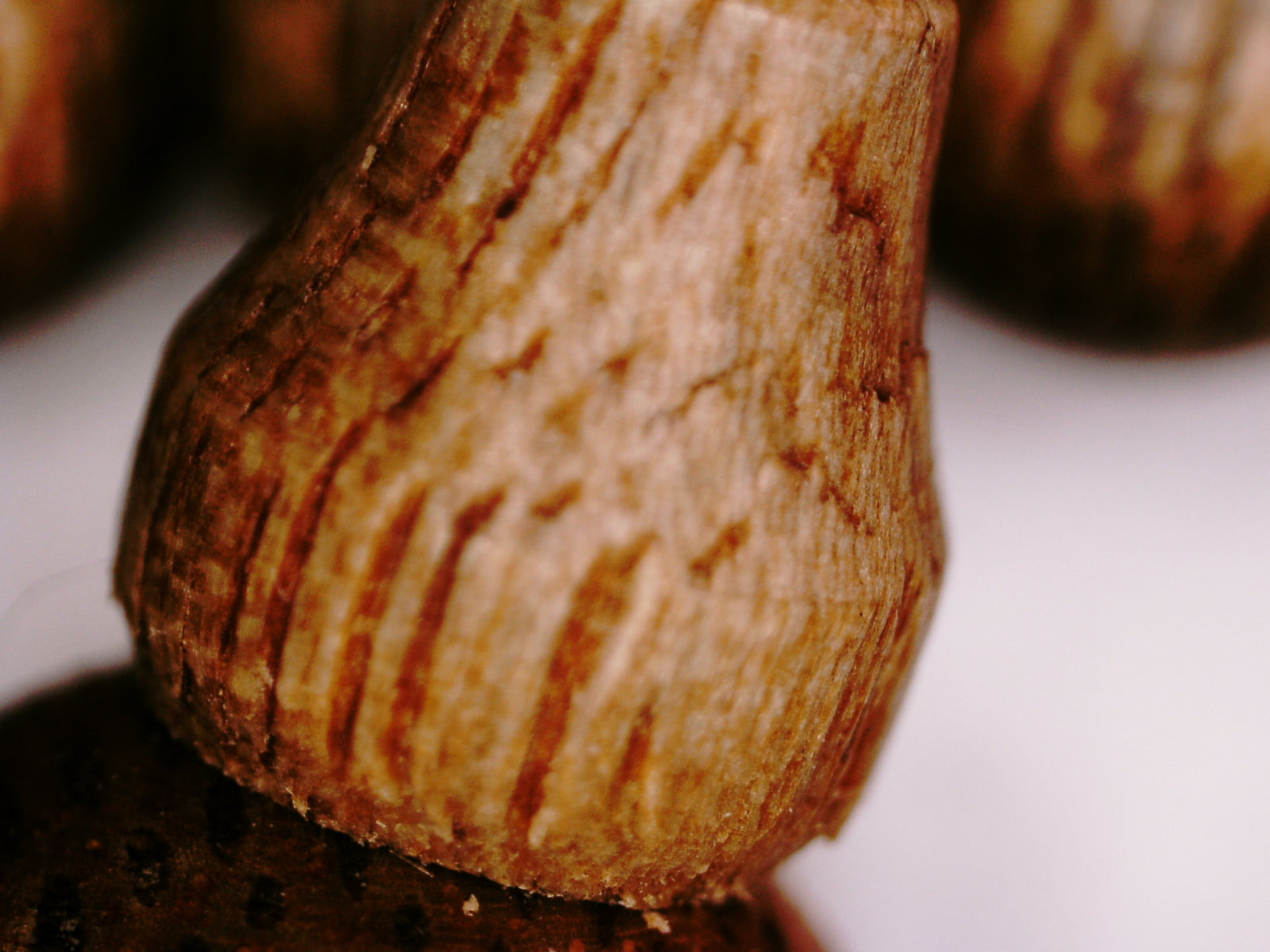 The GGG, Premium Cultivated Agarwood 108 Mala and/or Bracelet - Cultivated beads with wild agarwood quality -