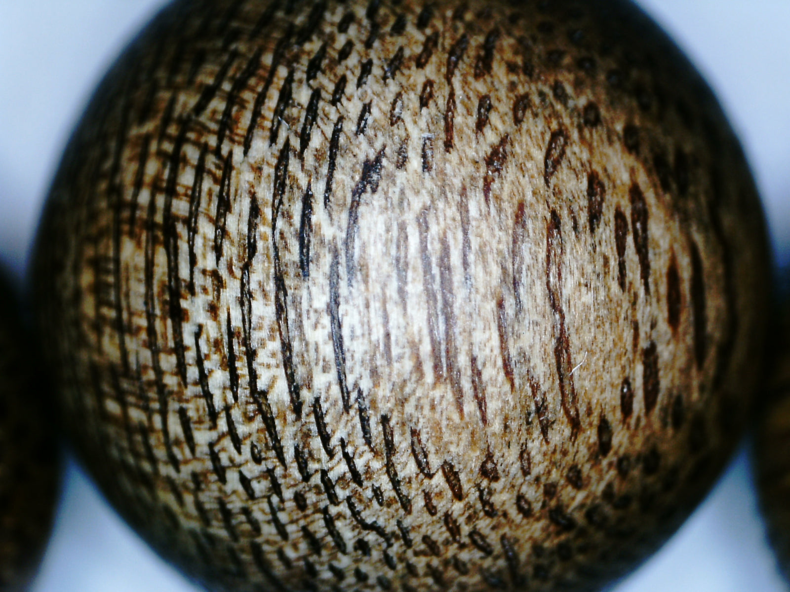 *New* The Great - Wild Agarwood Bracelet -