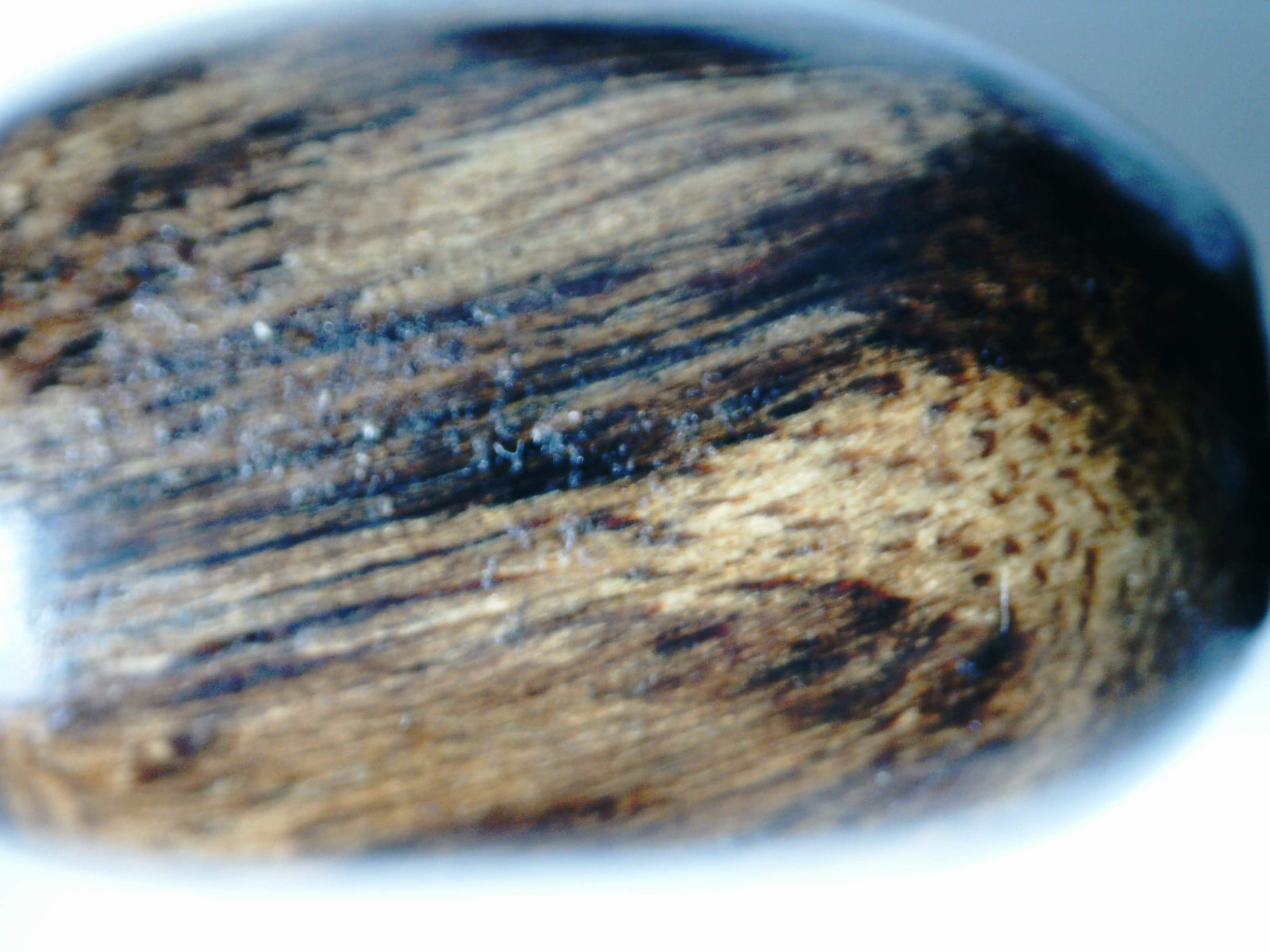 The rarer than rare: Sinking Wild agarwood bracelet -