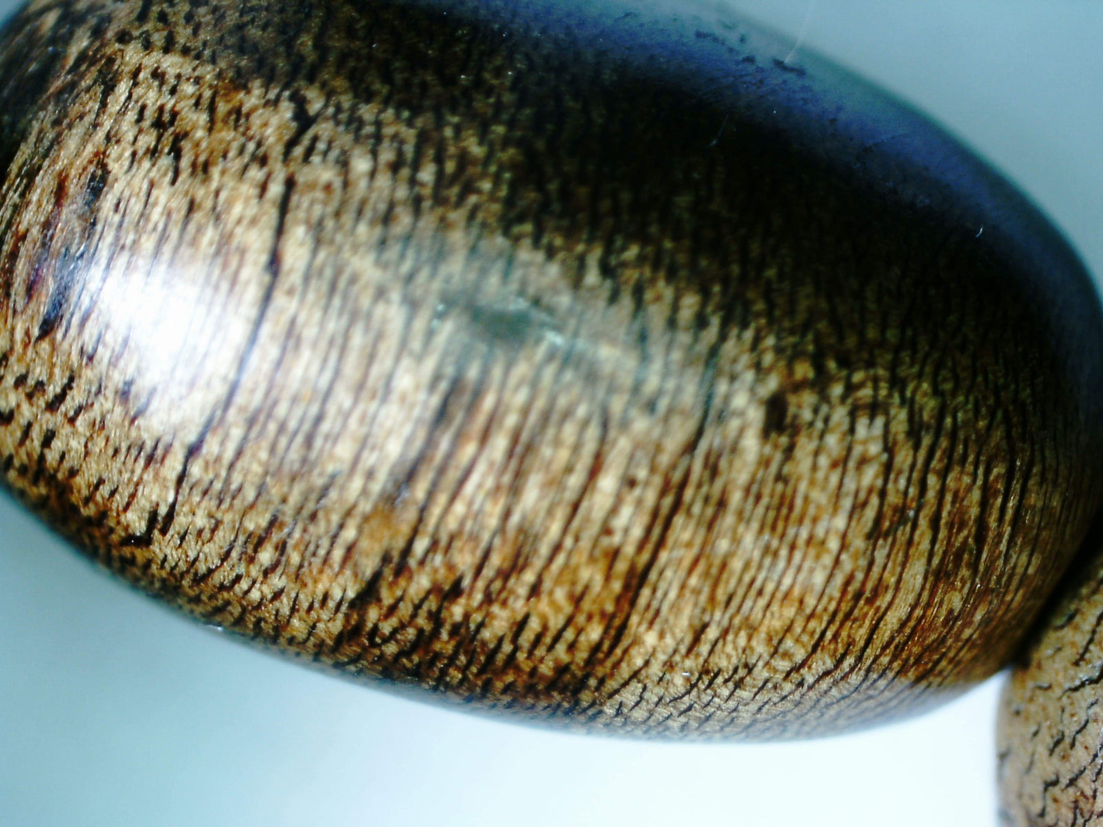 The rarer than rare: Sinking Wild agarwood bracelet -