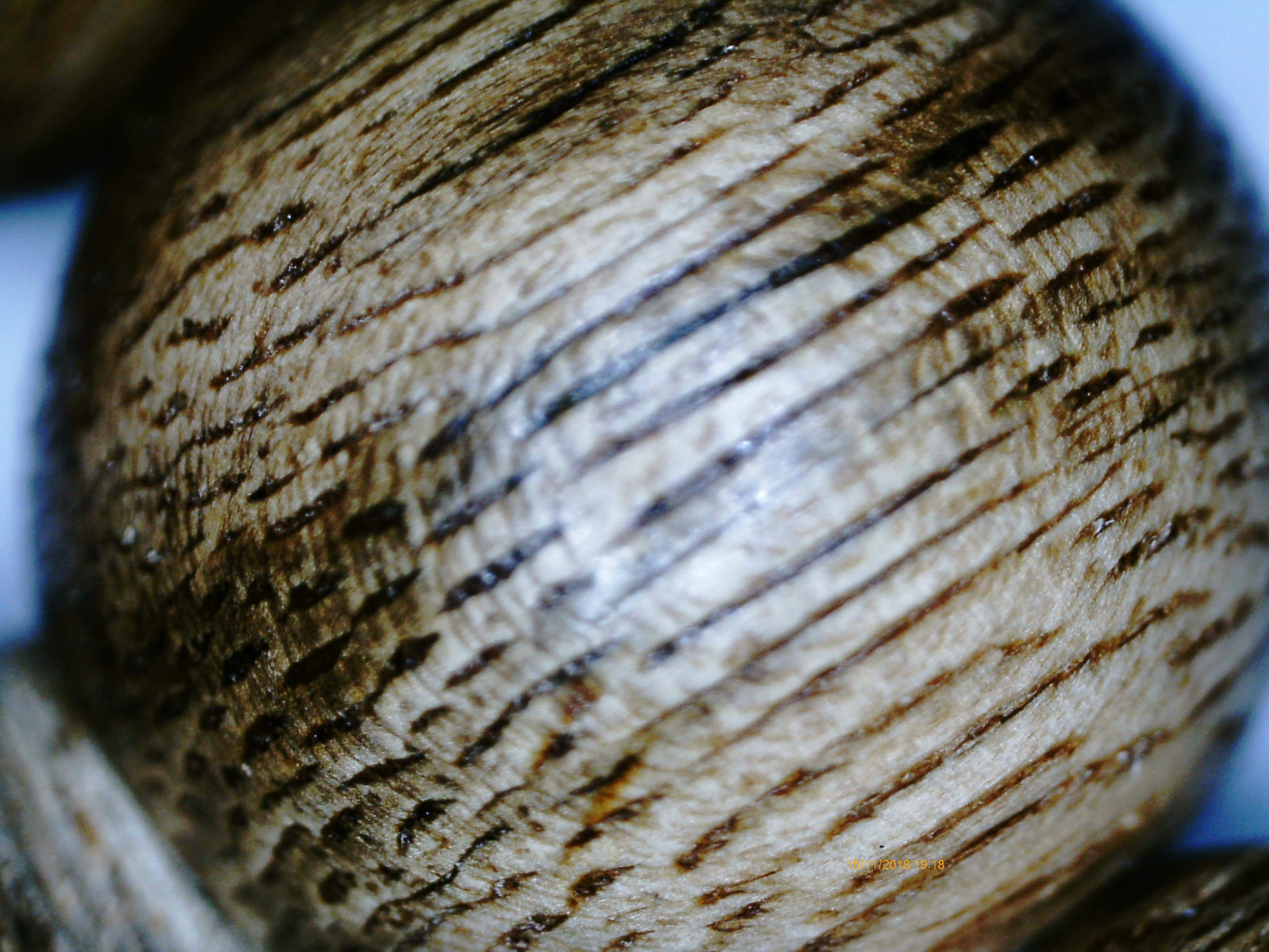 Wild agarwood 108 mala Malinau East Kalimantan over 20g with a piece of remaining agarwood -