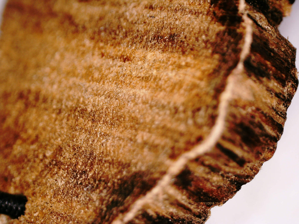 Wild agarwood 108 mala Malinau East Kalimantan over 20g with a piece of remaining agarwood -