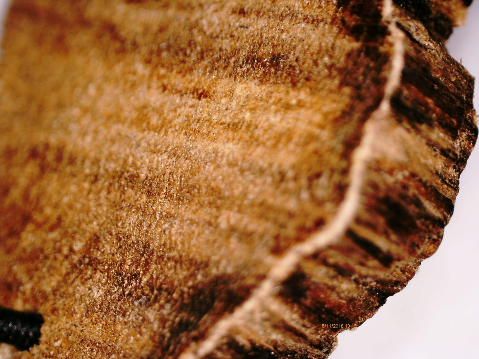 Wild agarwood 108 mala Malinau East Kalimantan over 20g with a piece of remaining agarwood -