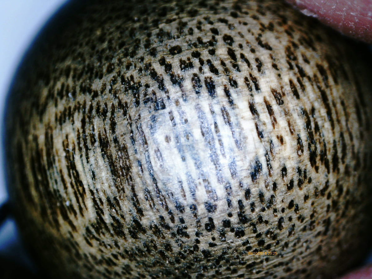 SOLD Wild Agarwood Bracelet made from heart wood 16mm 14 beads 32g - The Moonless -