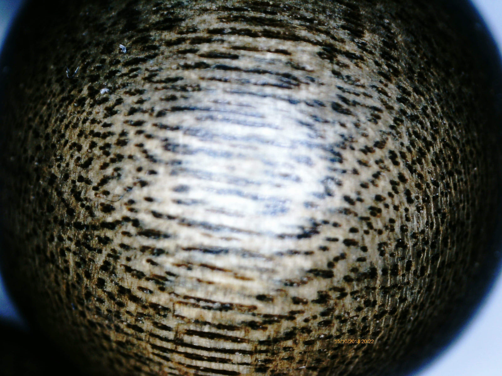 SOLD Wild Agarwood Bracelet made from heart wood 16mm 14 beads 32g - The Moonless -