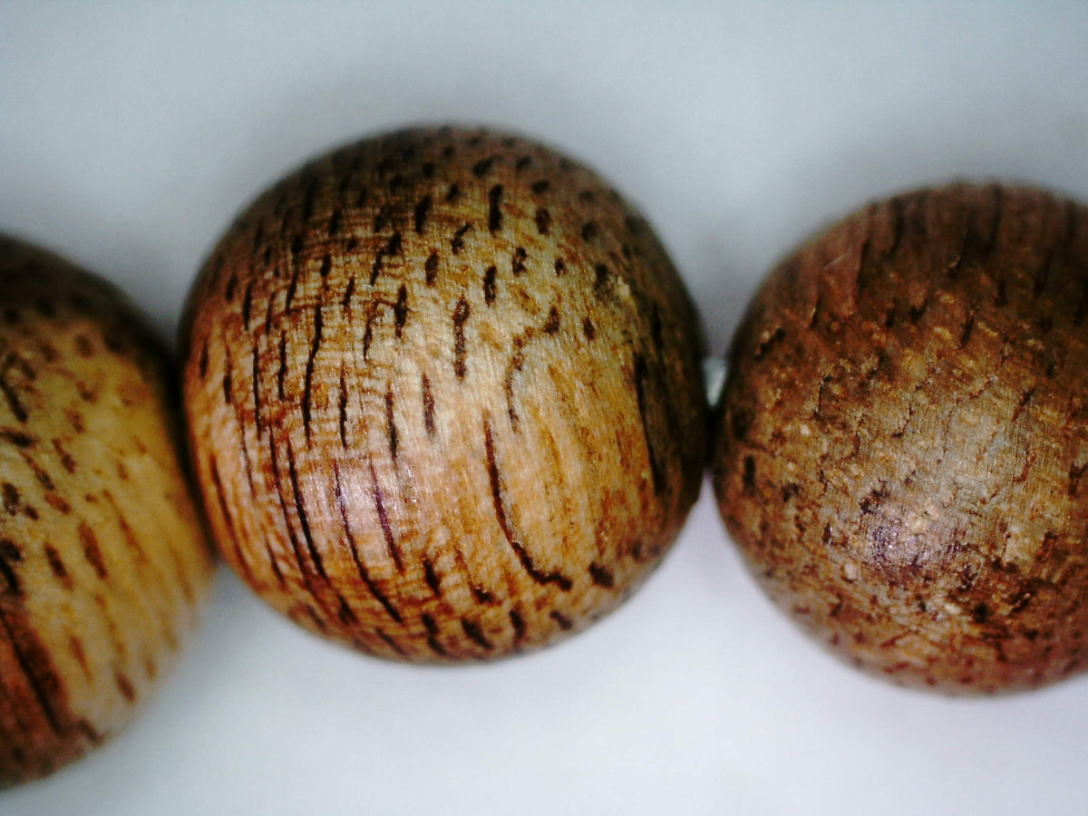 The Clarity - Cultivated agarwood 8mm bracelet with Tree of Life pedant, citrine and turquoise -