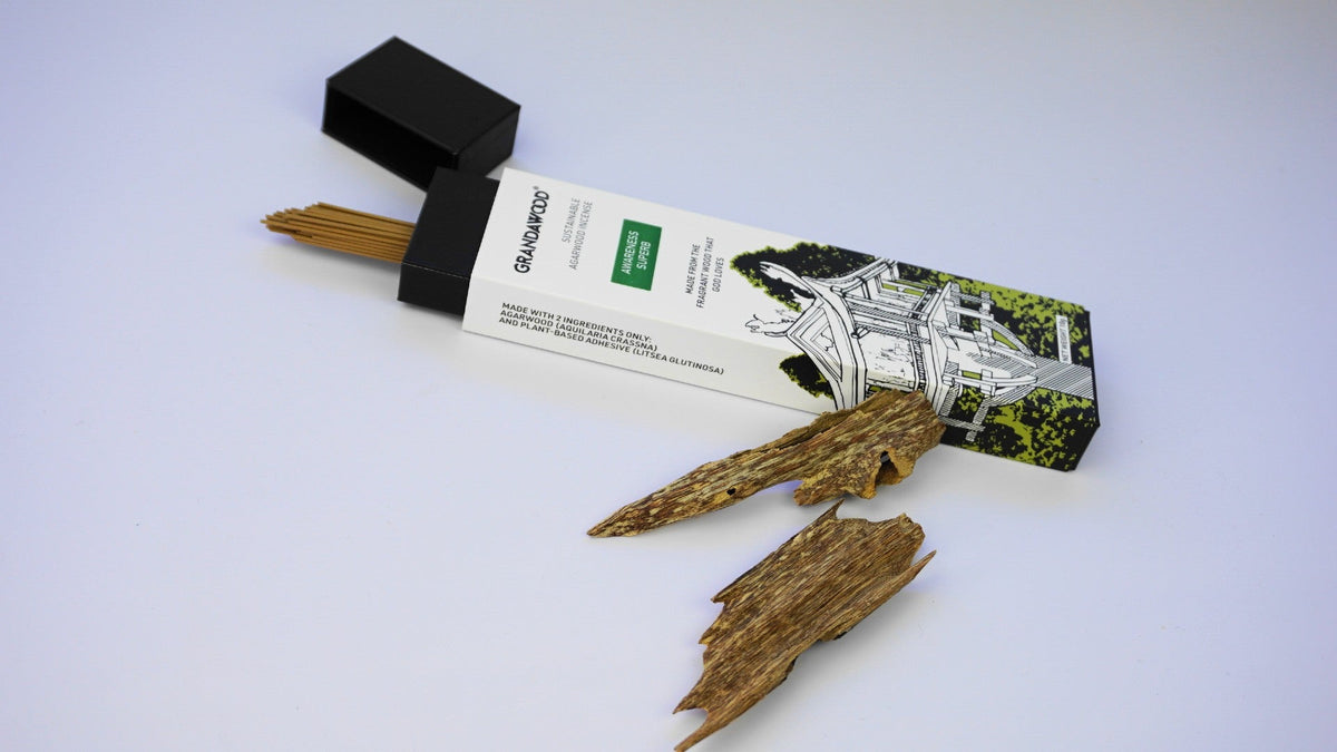 Awareness - Grandawood Cultivated Agarwood Incense 沉香香 -