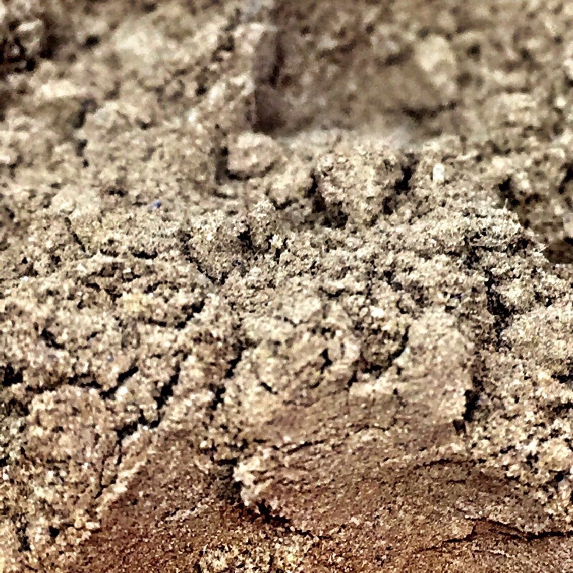 Grandawood Agarwood "Kỳ Bì" Kyara's Skin (Bark) Powder -