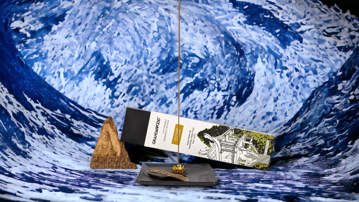 Holy Aura - Grandawood Wild Resinous Agarwood Incense-Premium Quality- 10g 沉香香 -