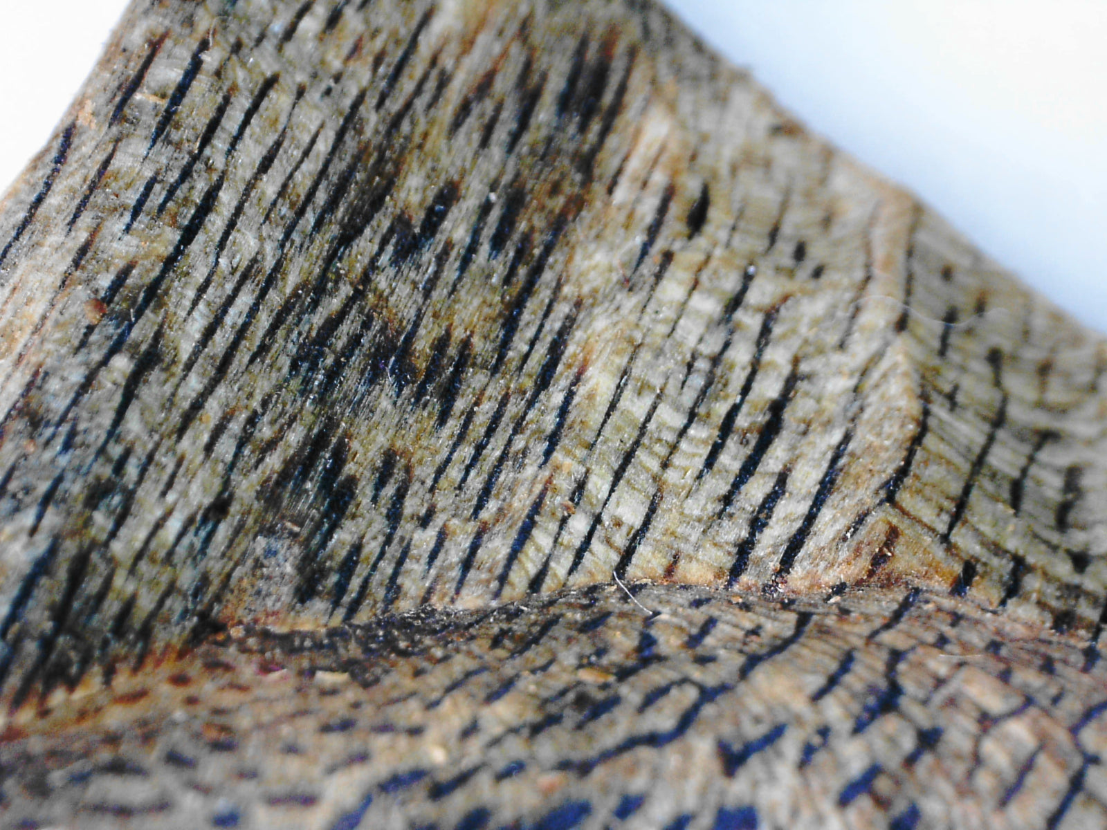 *New* Green Kygarwood Powder and Kygarwood chips- from Sustainable Premium Ky Nam Wood -