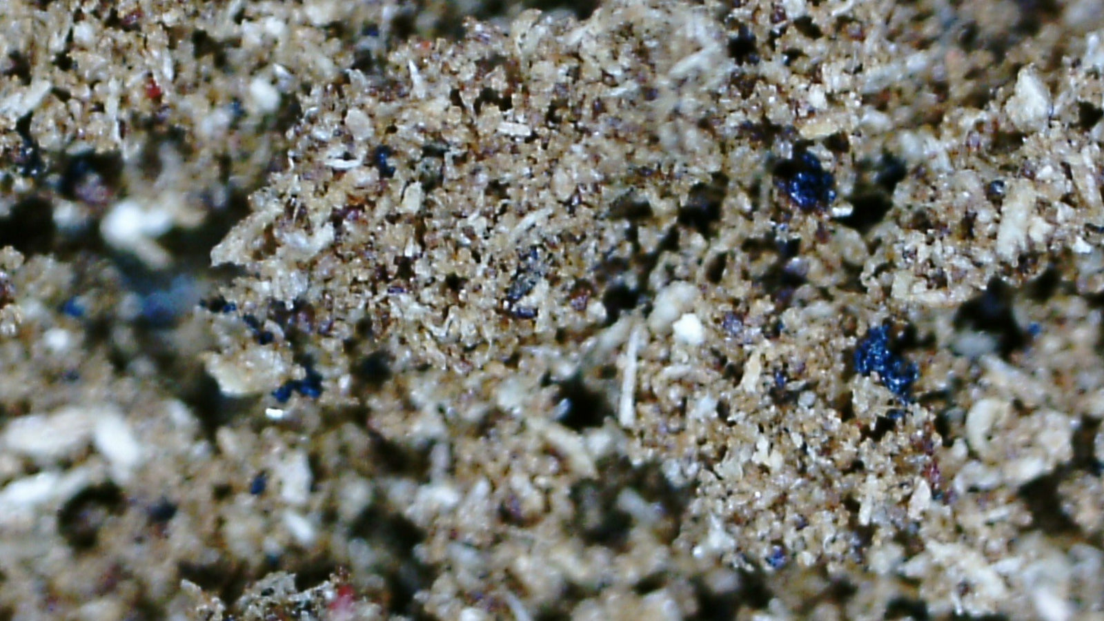 *New* Green Kygarwood Powder and Kygarwood chips- from Sustainable Premium Ky Nam Wood -