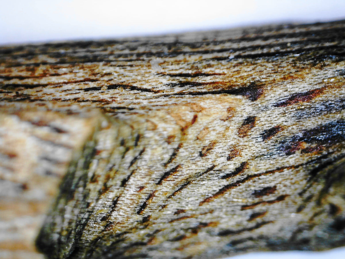 *New* White Kygarwood from Sustainable Premium Ky Nam Wood -