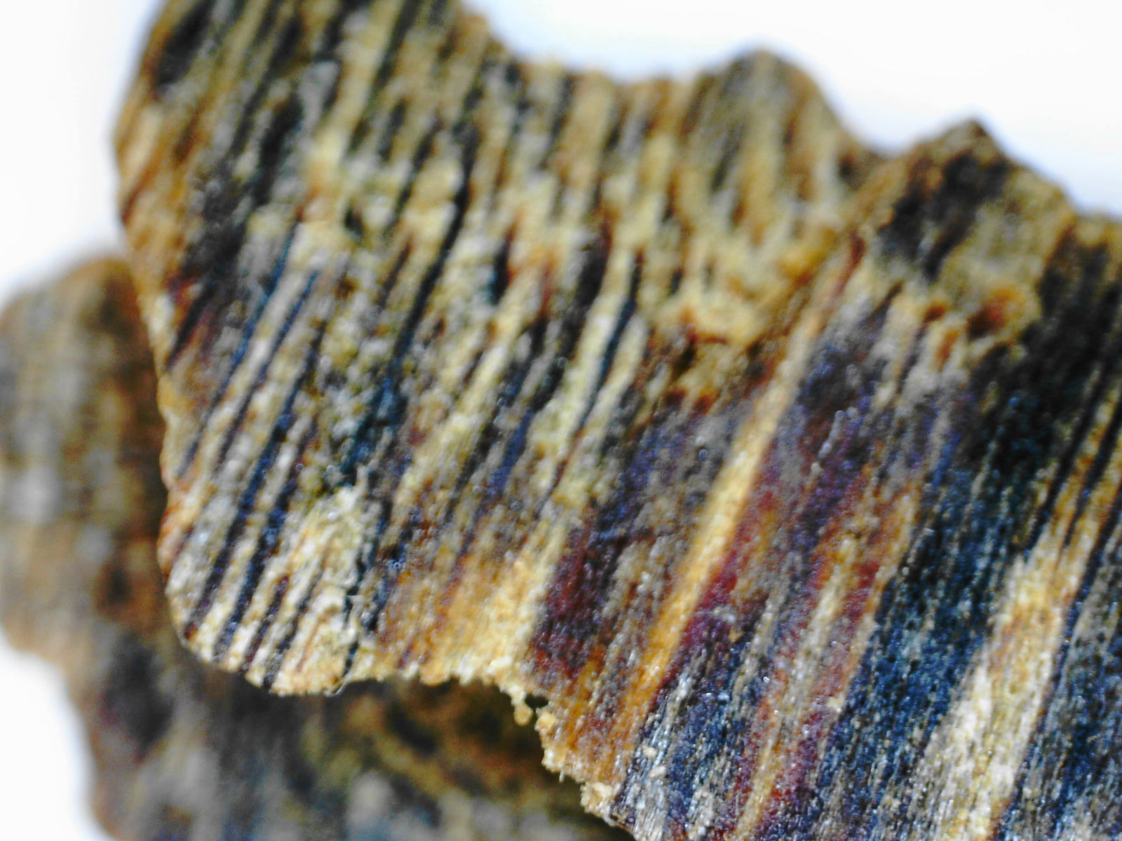 *New* White Kygarwood from Sustainable Premium Ky Nam Wood -