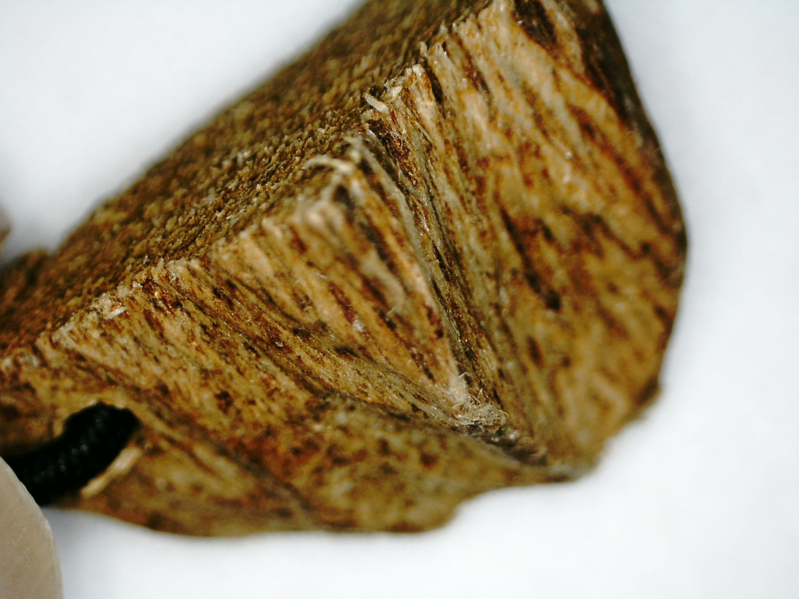 SOLD-The Contentment Wild Borneo Agarwood Mala 8mm 20g 108 beads plus 6 extras and 1 piece of material -