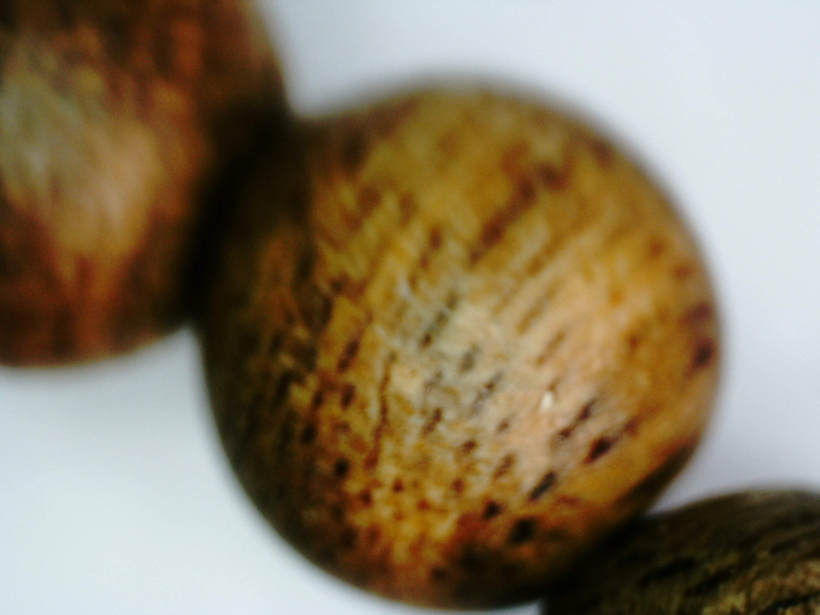 *New* The Golden Purifier 108 Cultivated Agarwood Mala (Japamala) -