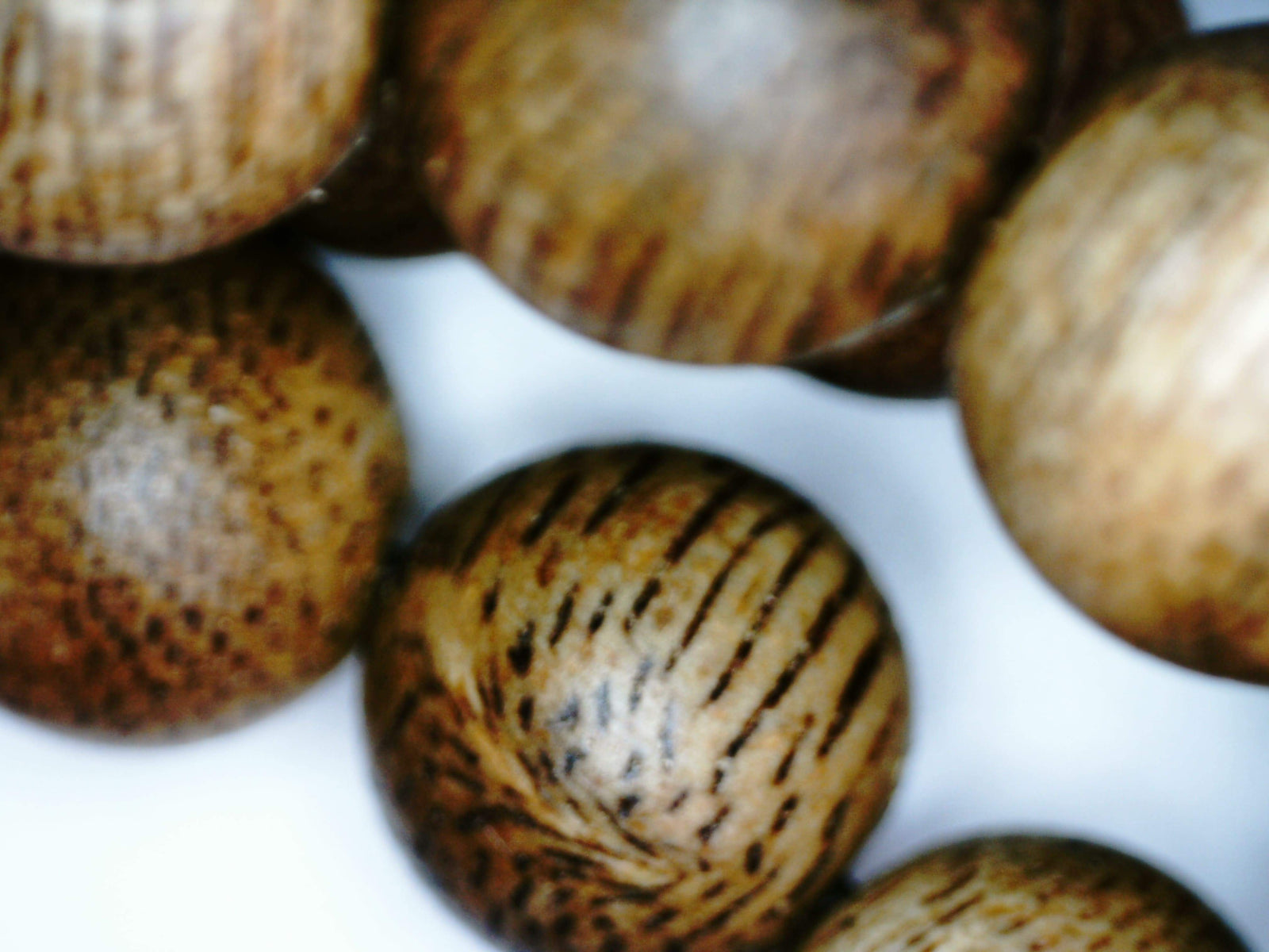 *New* The Golden Purifier 108 Cultivated Agarwood Mala (Japamala) -