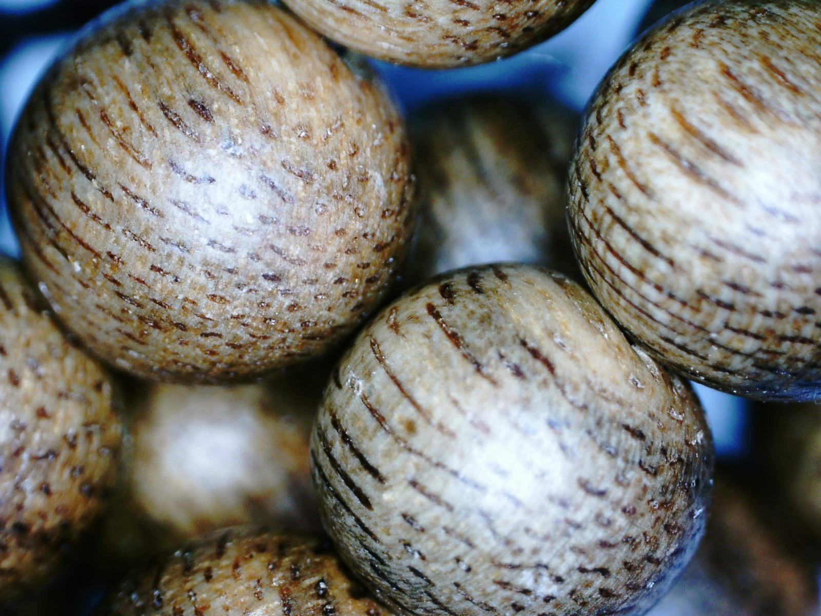 *New* The Golden Purifier 108 Cultivated Agarwood Mala (Japamala) -