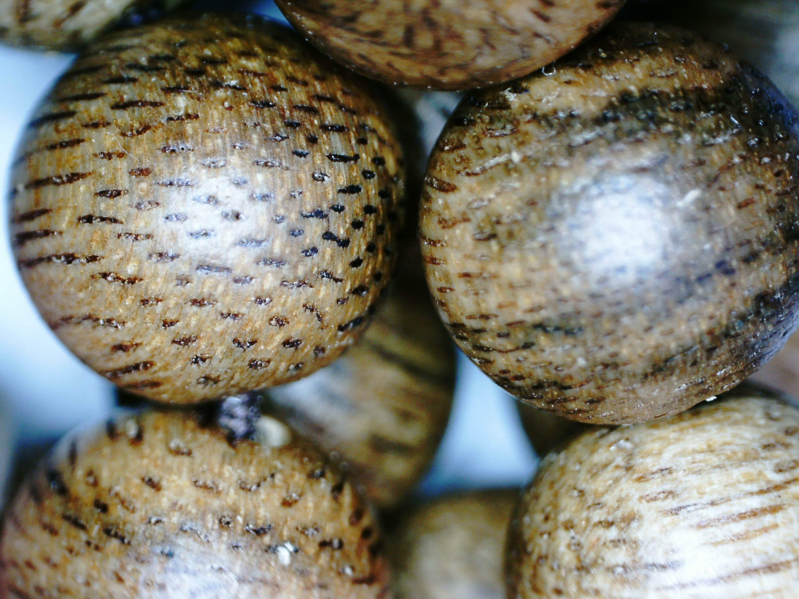 *New* The Golden Purifier 108 Cultivated Agarwood Mala (Japamala) -