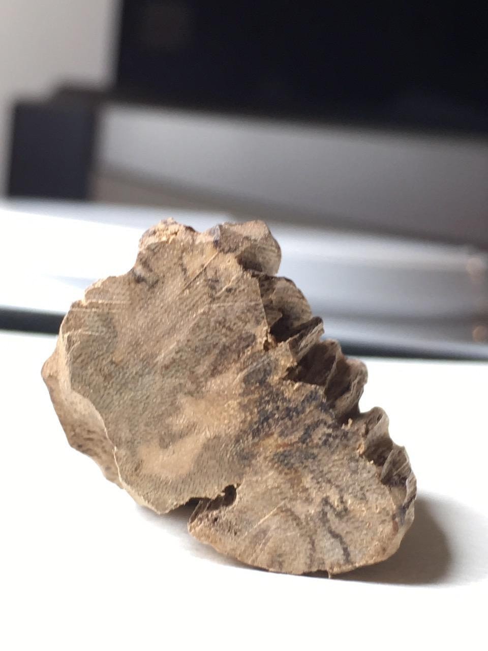 SOLD- Rare Leopard Pattern Agarwood Bracelet 30g fully sinking bracelet -