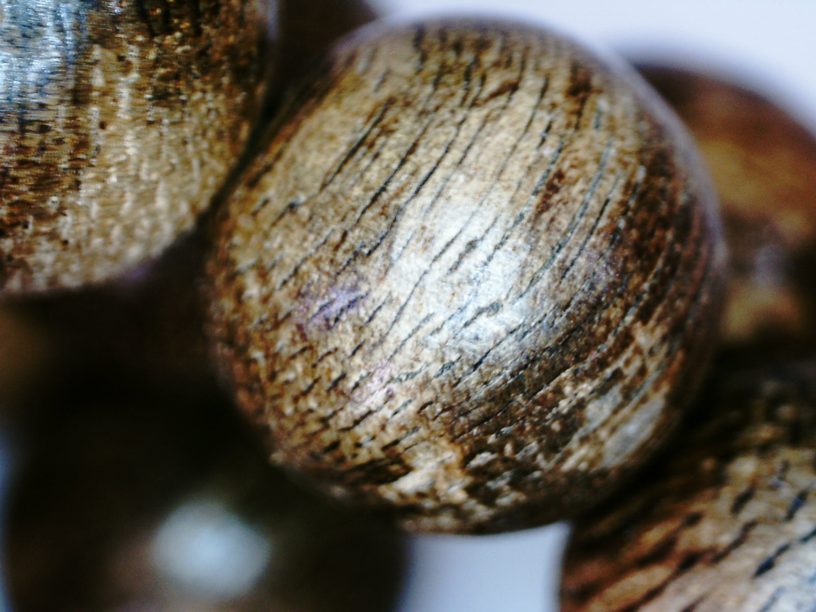 *Very Old* The Marble Trilogy - Wild Borneo Agarwood 108 mala - number 1 -